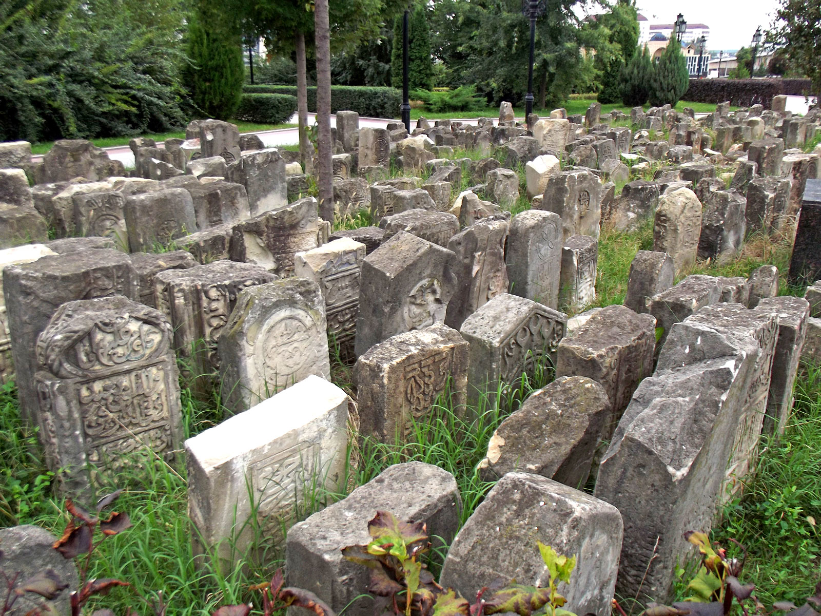 Grozniy